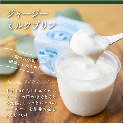 山之村牧場の[ヨーグルト・プリン・飲むヨーグルト]3種類の乳製品が5個ずつ入った 乳製品15点セット