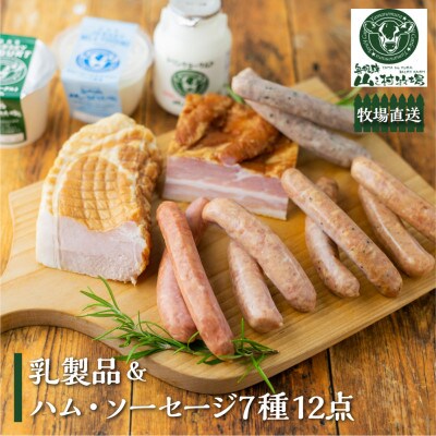 【牧場直送】山之村牧場のソーセージと乳製品のスタンダードな詰め合わせ「天空Aセット」