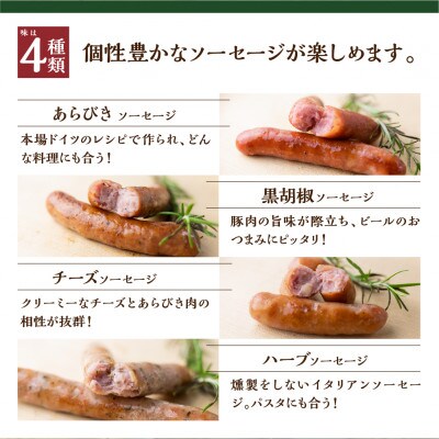 【牧場直送】山之村牧場のソーセージと乳製品のスタンダードな詰め合わせ「天空Aセット」