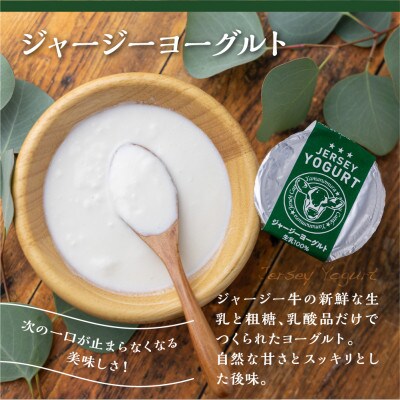 【牧場直送】山之村牧場のソーセージと乳製品のスタンダードな詰め合わせ「天空Aセット」