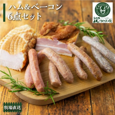 肉製品6点セット 肉製品 詰め合わせ ソーセージ ブロック ベーコン 山之村牧場