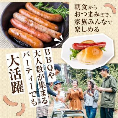 燻製ソーセージ 業務用 ソーセージ 1㎏1袋セット(黒こしょう)冷凍 飛騨市