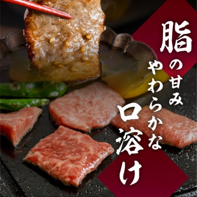 A4・A5飛騨牛カルビ焼肉 850g