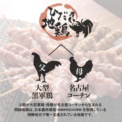 飛騨地鶏の焼き鳥バラエティセット20本
