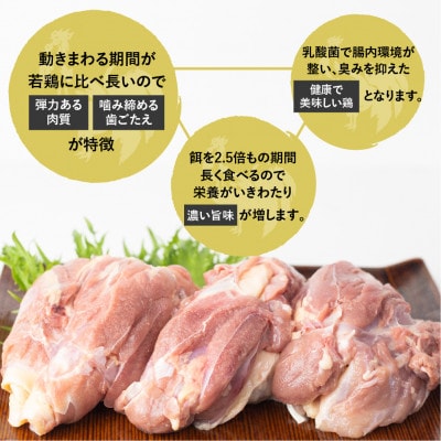 飛騨地鶏のモモ肉1kg