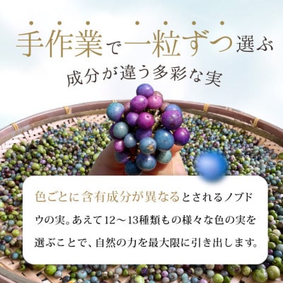 百寿のしずく　ノブドウのリキュール 500ml