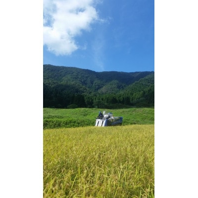 令和5年福井県産　イクヒカリ精米5kg 特別栽培米