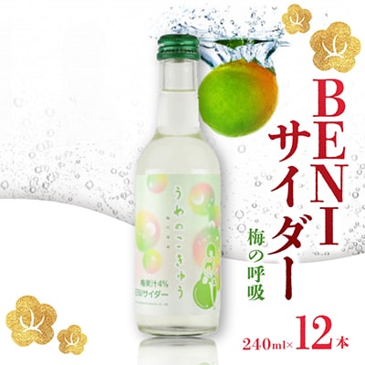 BENIサイダー　梅の呼吸　12本