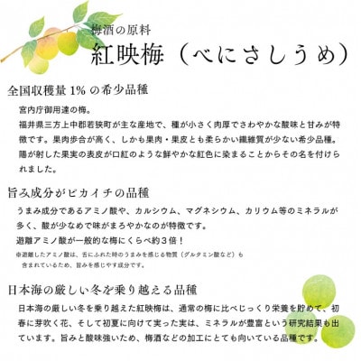 【梅酒ハイボール】Benichu ハイボール 12本
