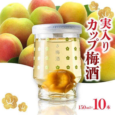 実入りカップ梅酒　10本入