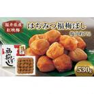 【福井県産 紅映梅】はちみつ福梅ぼし　530g