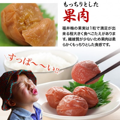 【福井県産 紅映梅】梅風韻 しそ漬梅ぼし 約500g
