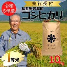 【 令和5年産　新米　先行受付 】福井県若狭町 コシヒカリ (1等米)　10kg | ふるさと納税のお礼品