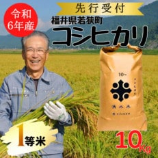 【 令和6年産 先行受付 】福井県若狭町 コシヒカリ (1等米) 10kg