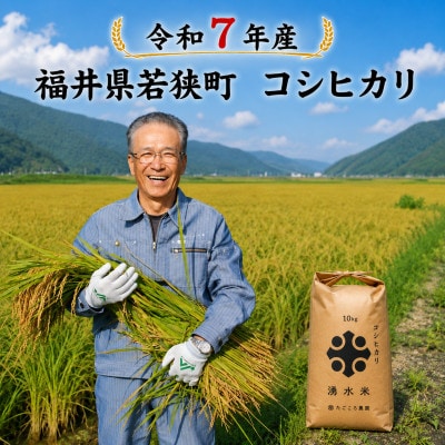 【 令和7年産 】福井県若狭町 コシヒカリ 　10kg