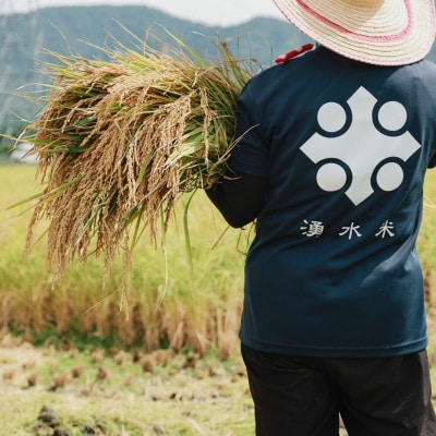 【 令和6年産 先行受付 】福井県若狭町 コシヒカリ (1等米)　10kg