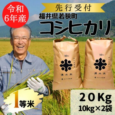 【 令和6年産 先行受付 】福井県若狭町　コシヒカリ(1等米)　20kg