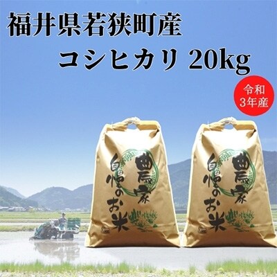 令和3年産 福井県若狭町コシヒカリ 1等米 kg お礼品詳細 ふるさと納税なら さとふる