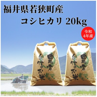 【令和4年産】福井県若狭町コシヒカリ(1等米)20kg