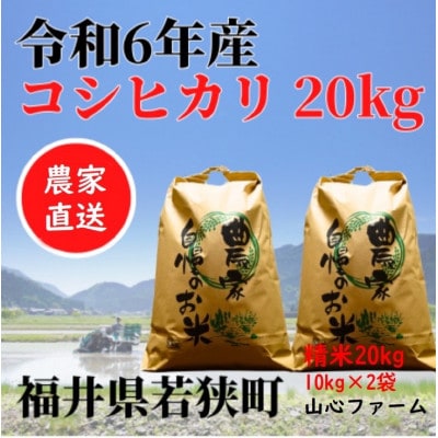 【令和6年産】福井県若狭町コシヒカリ(1等米)20kg