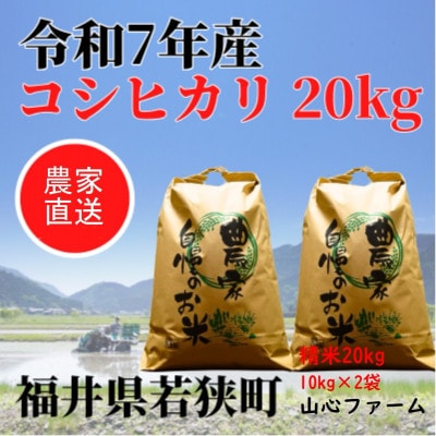 【令和7年産】福井県若狭町コシヒカリ(1等米)20kg