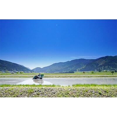 【令和4年産】福井県若狭町コシヒカリ(1等米)20kg