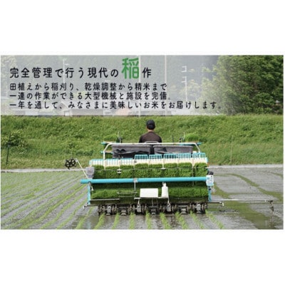 【令和6年産】福井県若狭町コシヒカリ(1等米)20kg
