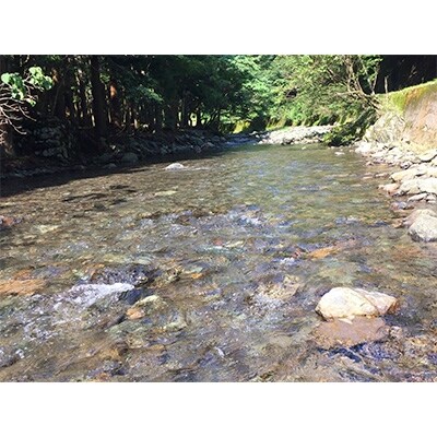 【令和4年産】福井県若狭町コシヒカリ(1等米)20kg