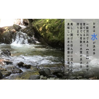 【令和6年産】福井県若狭町コシヒカリ(1等米)20kg