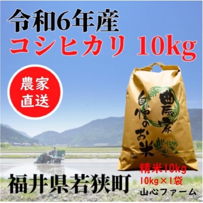 【令和6年産】福井県若狭町コシヒカリ(1等米)10kg
