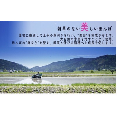 【令和6年産】福井県若狭町コシヒカリ(1等米)10kg