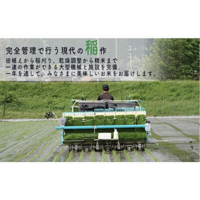 【令和6年産】福井県若狭町コシヒカリ(1等米)10kg