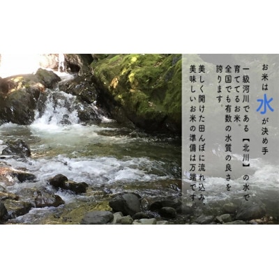 【令和6年産】福井県若狭町コシヒカリ(1等米)10kg