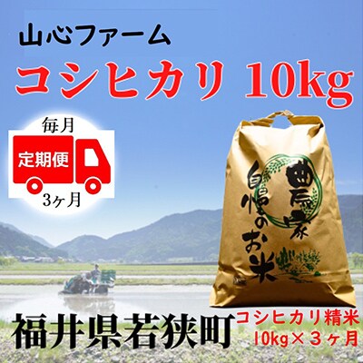【毎月定期便】福井県若狭町コシヒカリ(1等米)10kg　精米全3回