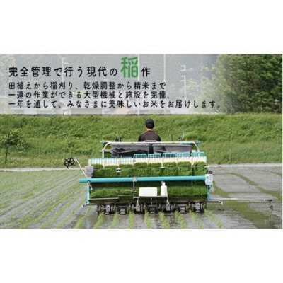 【毎月定期便】福井県若狭町コシヒカリ(1等米)10kg　精米全3回