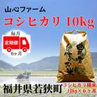 【毎月定期便】福井県若狭町コシヒカリ(1等米)10kg　精米全6回
