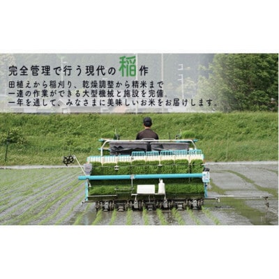 【毎月定期便】福井県若狭町コシヒカリ(1等米)10kg　精米全6回