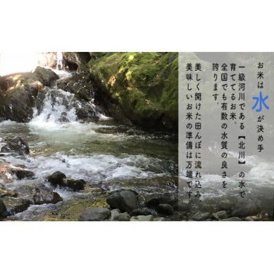 【毎月定期便】福井県若狭町コシヒカリ(1等米)10kg　精米全6回