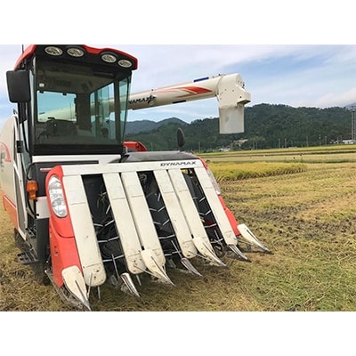【令和6年産】福井県若狭町コシヒカリ(1等米)　10kg(5kg×2袋)