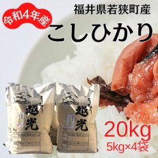 【令和4年産】福井県若狭町コシヒカリ(1等米)　20kg(5kg×4) | ふるさと納税のお礼品