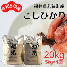 【令和5年産】福井県若狭町コシヒカリ(1等米)　20kg(5kg×4袋)