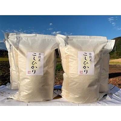 【令和3年産】福井県若狭町コシヒカリ(1等米) 20kg(5kg×4)