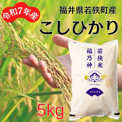 【令和7年産】福井県若狭町コシヒカリ(1等米/精米)　5kg