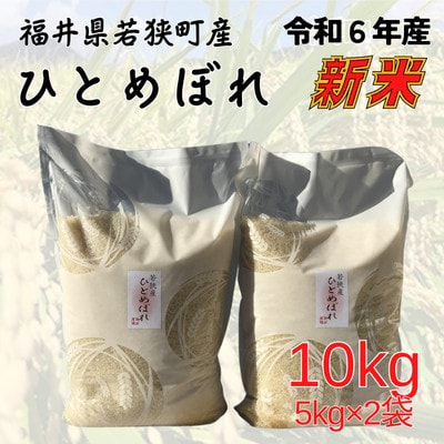 【令和6年産】福井県若狭町ひとめぼれ(1等米/精米)　10kg(5kg×2袋)