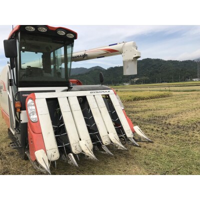 【令和6年産】福井県若狭町ひとめぼれ(1等米/精米)　10kg(5kg×2袋)