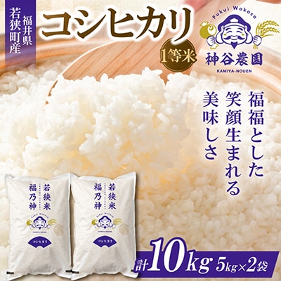 【令和8年産先行受付】福井県若狭町コシヒカリ(1等米)　10kg(5kg×2袋)