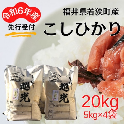 【令和6年産先行受付】福井県若狭町コシヒカリ(1等米)　20kg(5kg×4袋)