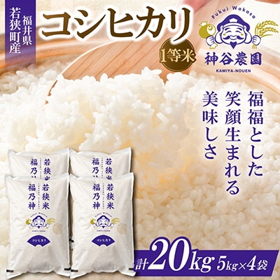 【令和8年産先行受付】福井県若狭町コシヒカリ(1等米)　20kg(5kg×4袋)