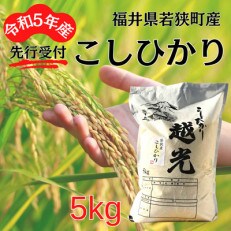 【令和5年産新米先行受付】福井県若狭町コシヒカリ(1等米)　5kg