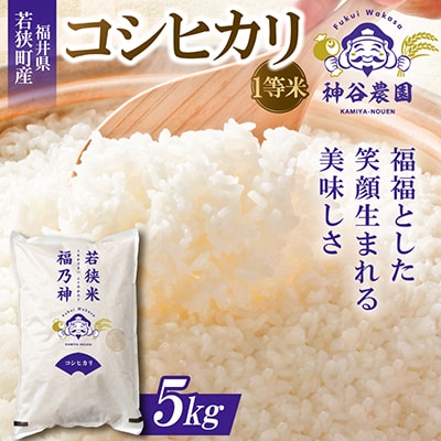 【令和8年産先行受付】福井県若狭町コシヒカリ(1等米)　5kg